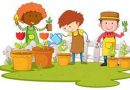 Les plantes et le jardinage en EB1